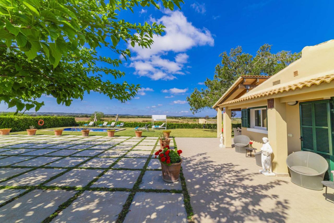 Villa Ambient / Sa Finqueta *