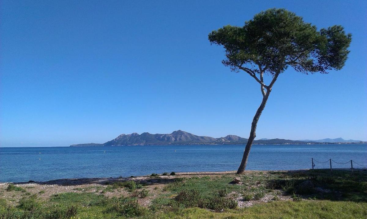 Pollentia Mar Puerto Pollensa