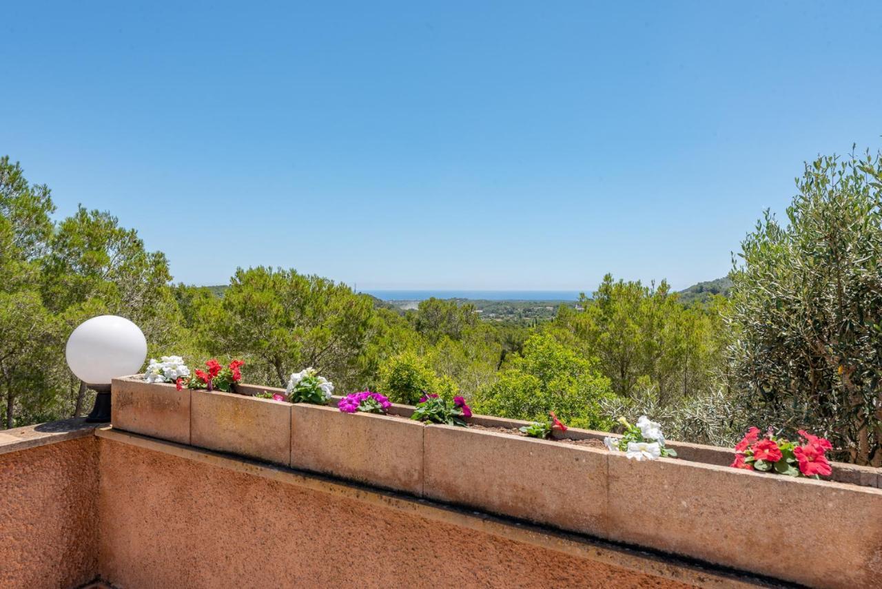 Holiday home Bosc De Alou By Mallorca House Rent Felanitx