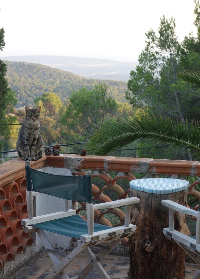 Mountain With Pool Villa Puigpunyent (Mallorca)