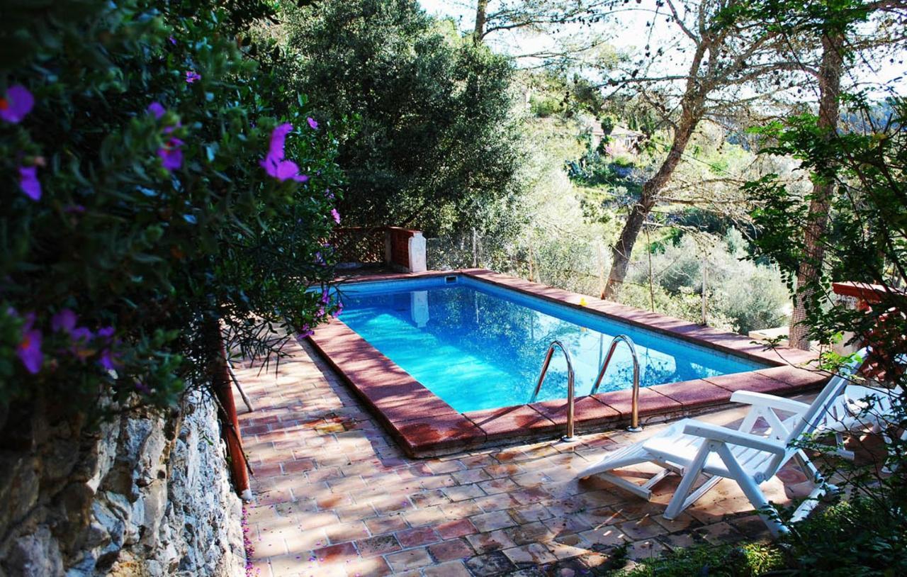 Villa Mountain With Pool Puigpunyent (Mallorca)