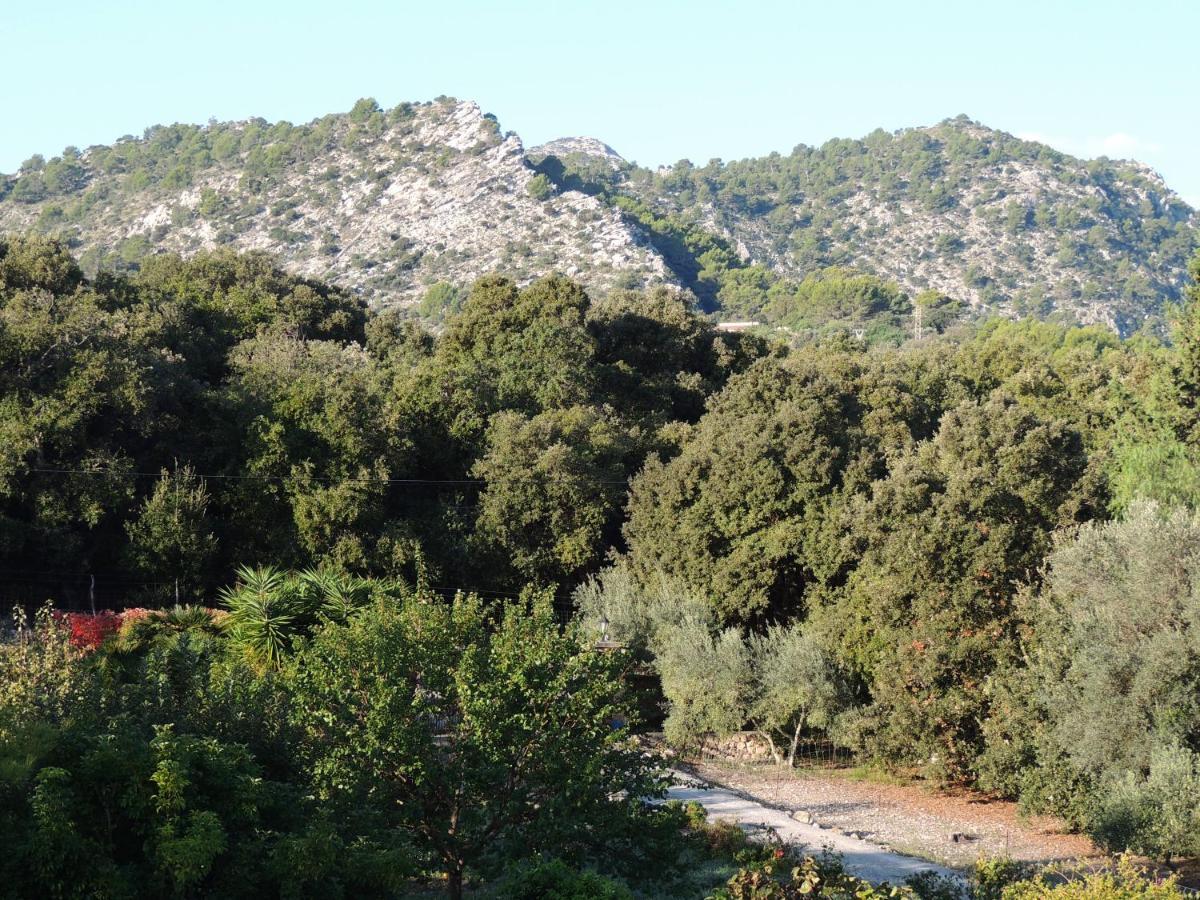Milagro - 3 Bedroom Style With Pool Near Golf Course/beaches - Air Cond. Pollensa