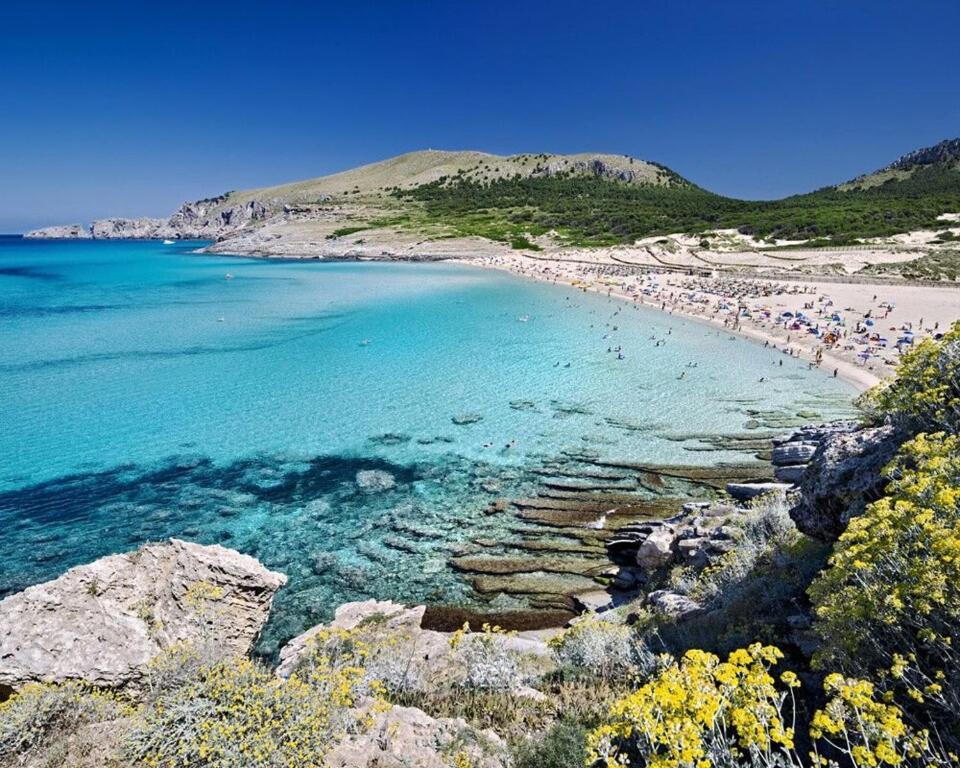 Mare Nostrum Apartamento *