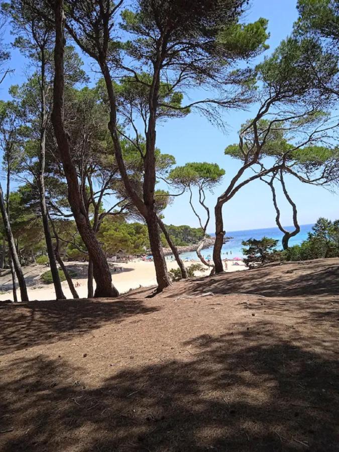 Mare Nostrum Cala Ratjada (Mallorca)