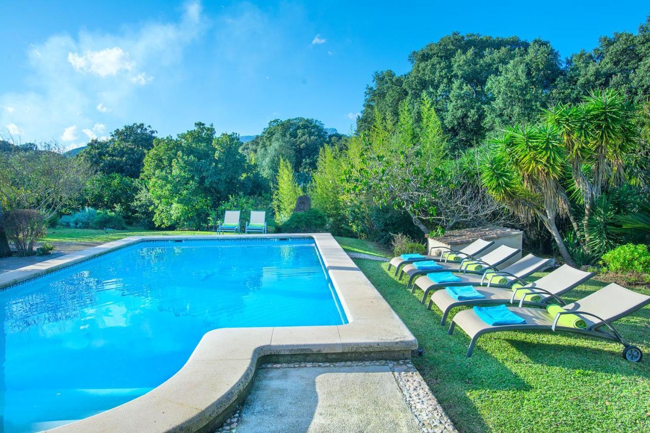 Owl Xino - 10 Min Walk To The Old Town Villa Pollensa