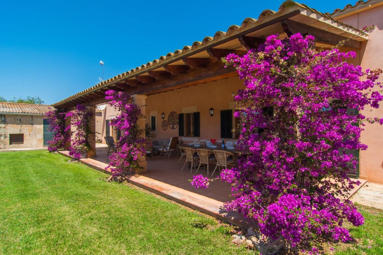 Villa Son Parera
