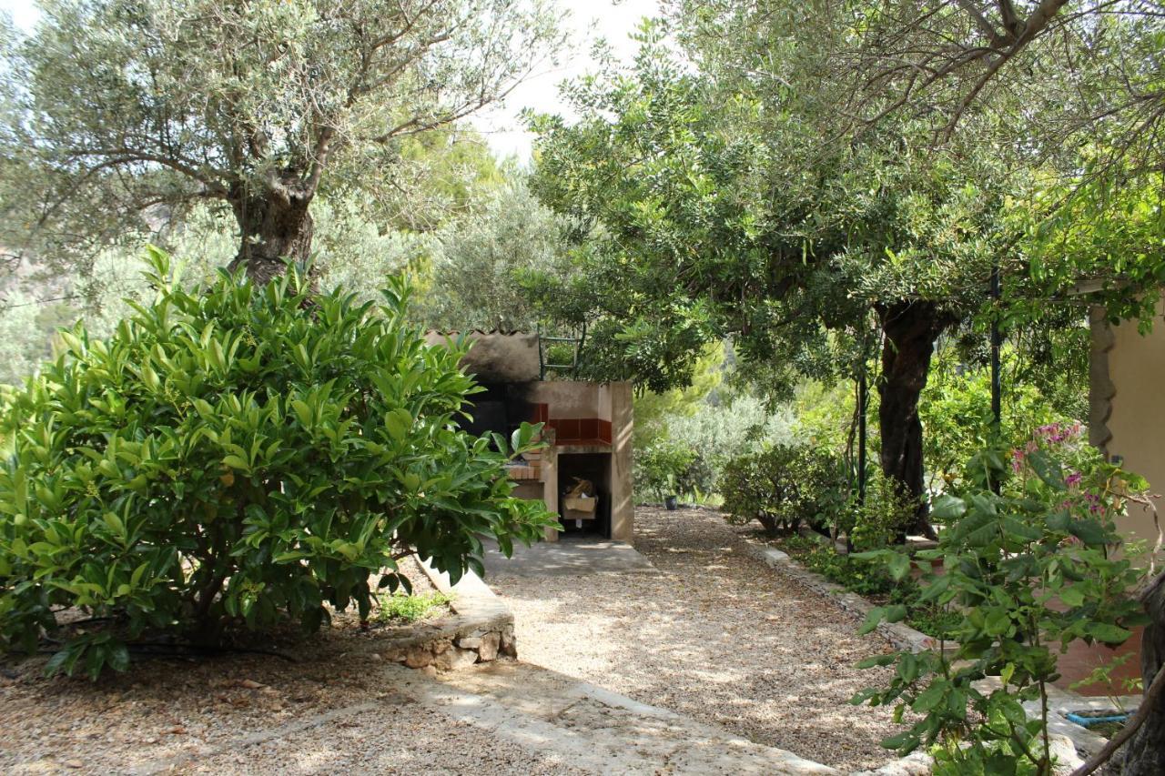 Apartamento Olivar De S'heretat Trekking/ruta Gr-221