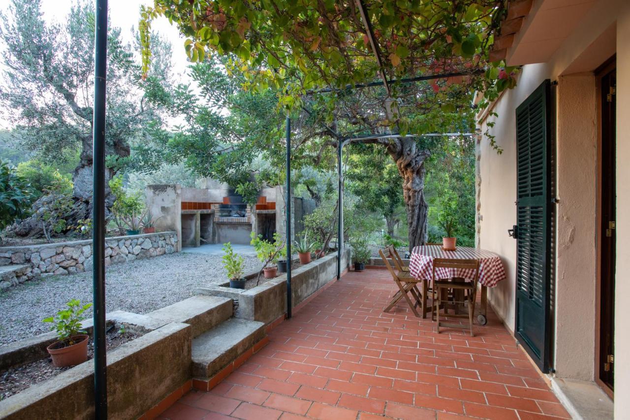 Olivar De S'heretat Trekking/ruta Gr-221 Apartamento *