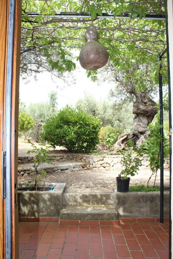Olivar De S'heretat Trekking/ruta Gr-221 Apartamento *