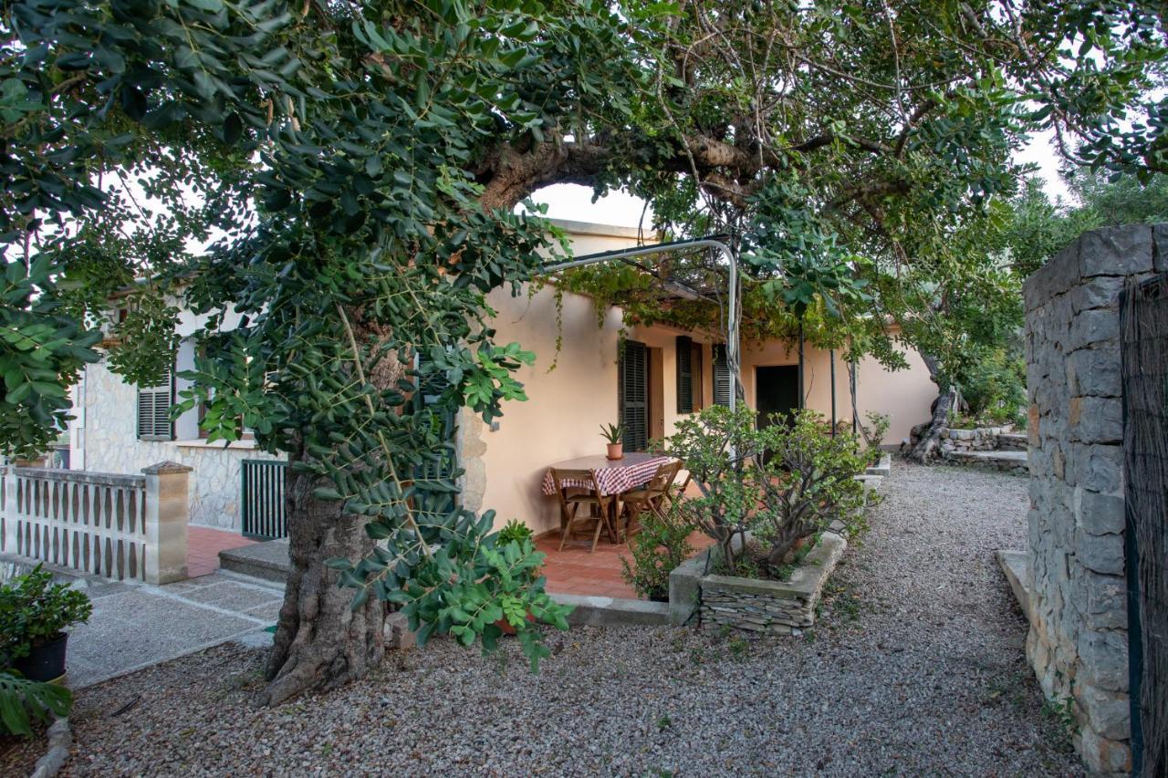 Apartamento Olivar De S'heretat Trekking/ruta Gr-221 *