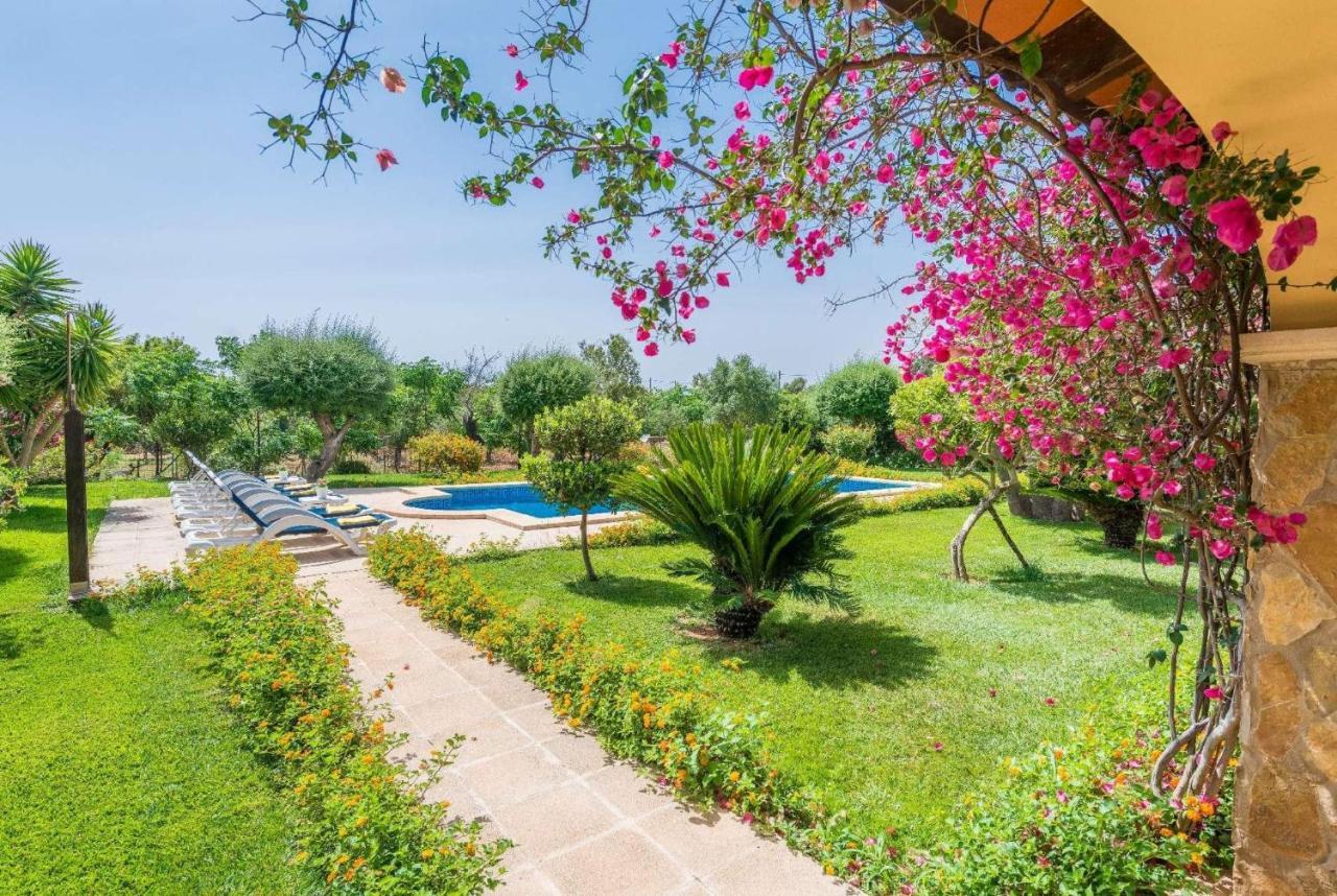 Villa Son Duri