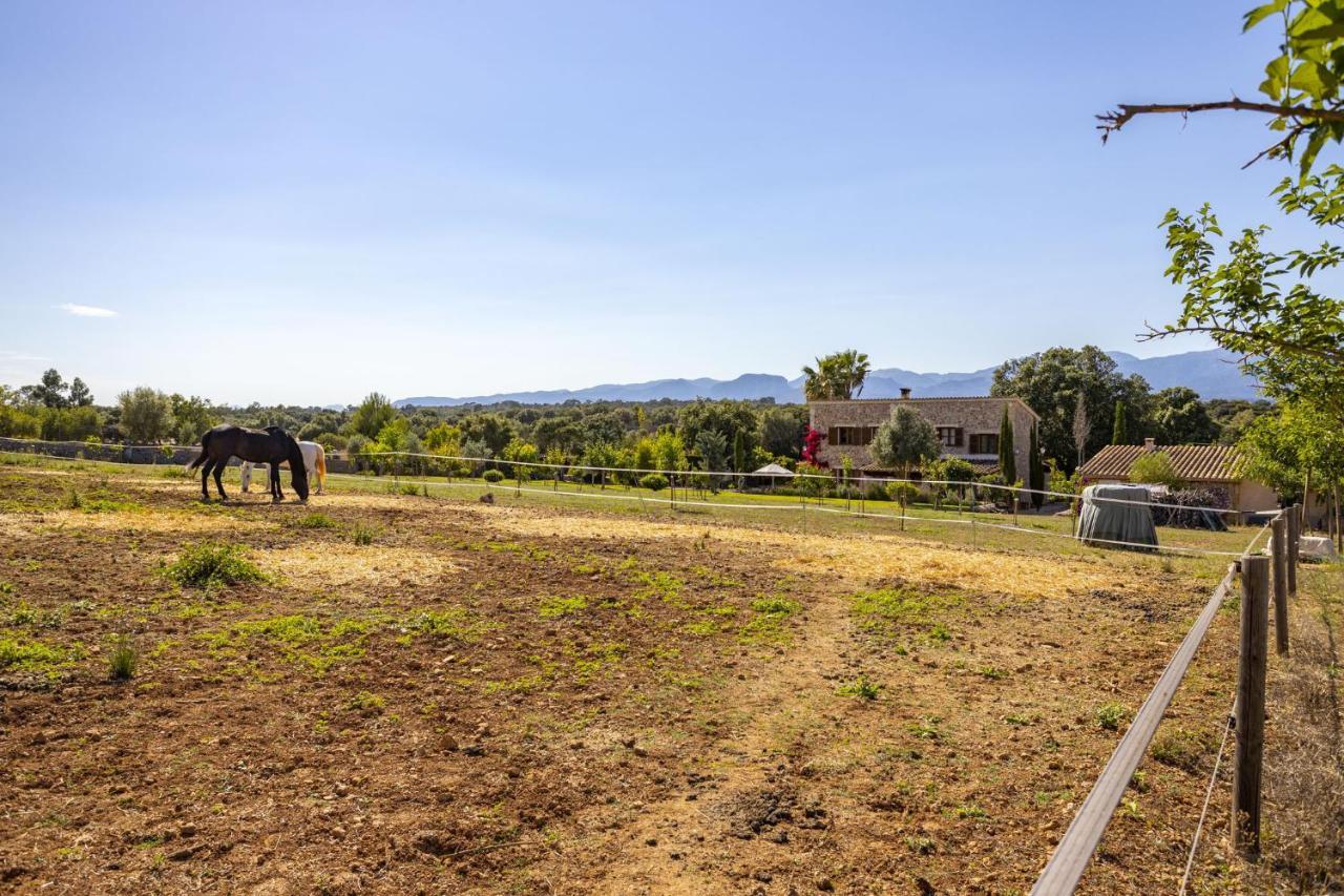 Cas Moreu 454 Villa Llubí