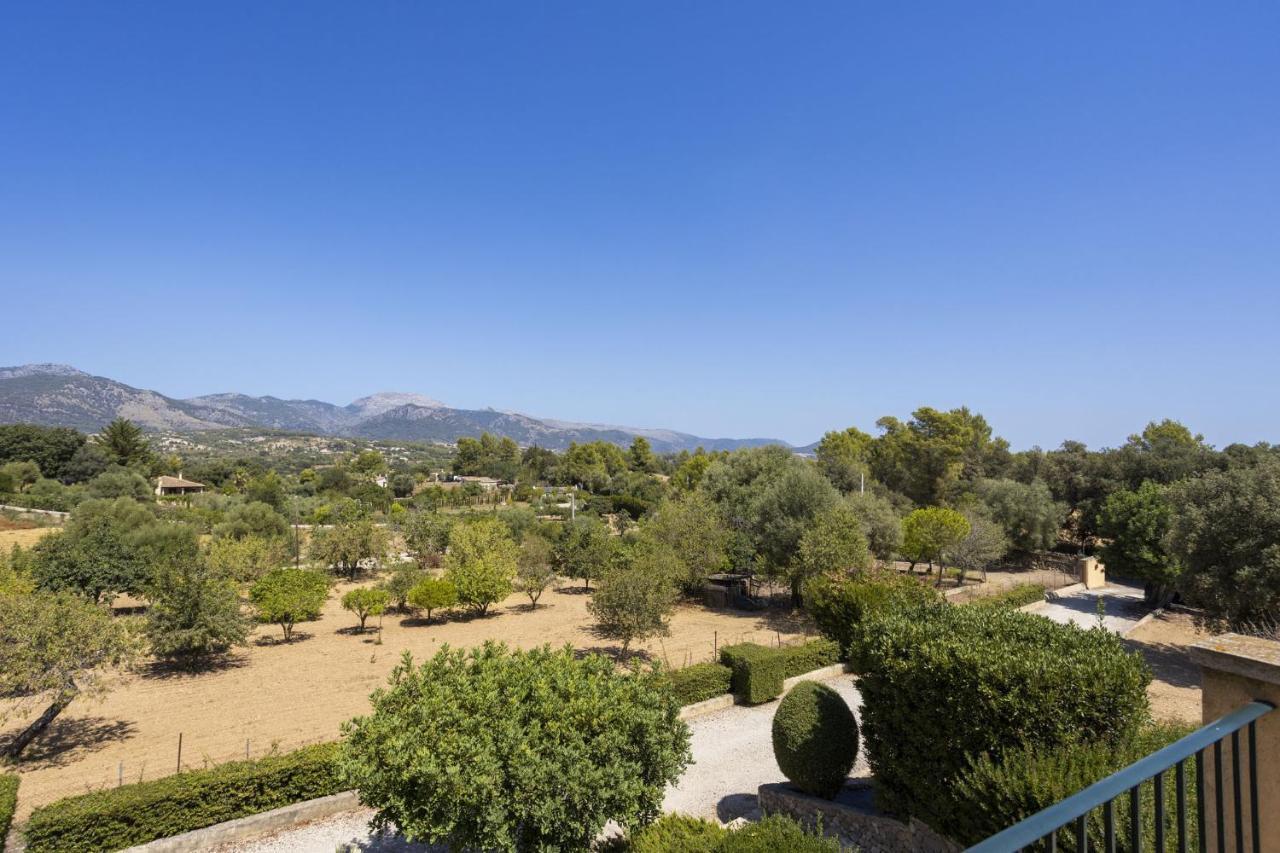 Alzina 454 Selva (Mallorca)