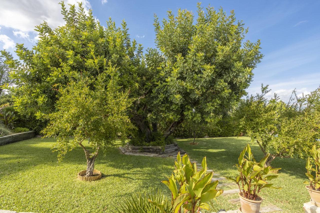 Casa rural Finca Can Bosc Family