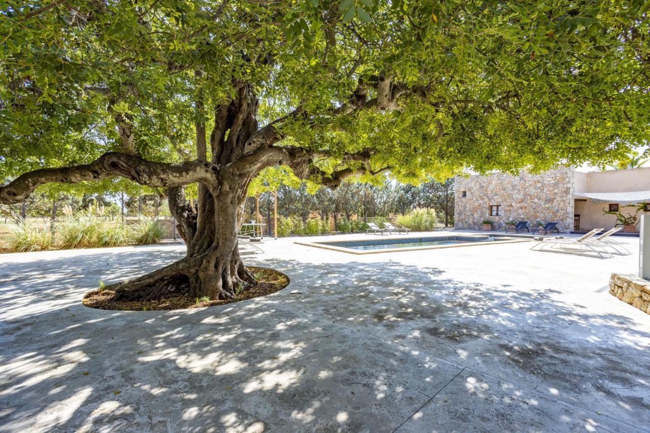 Casa rural Es Triquet Family Binisalem