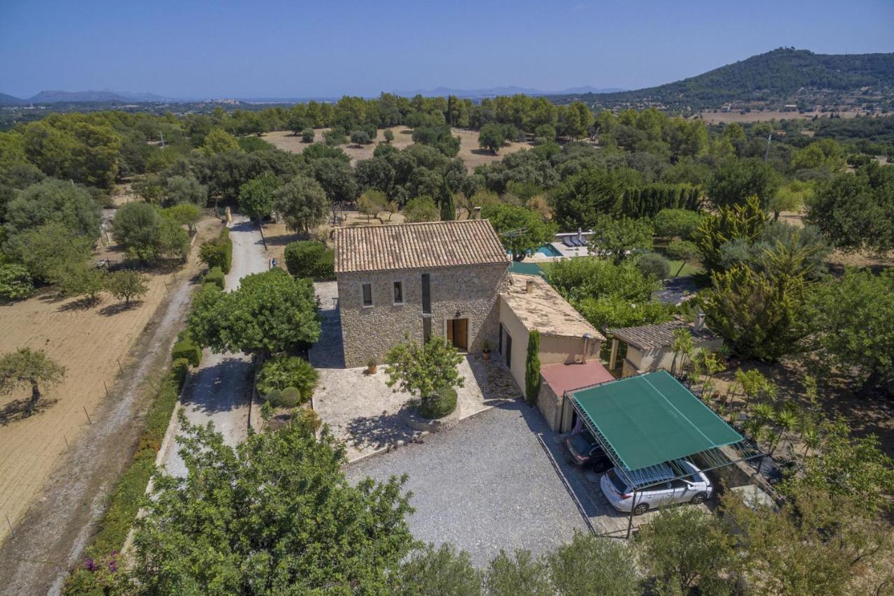 Alzina 454 Selva (Mallorca)