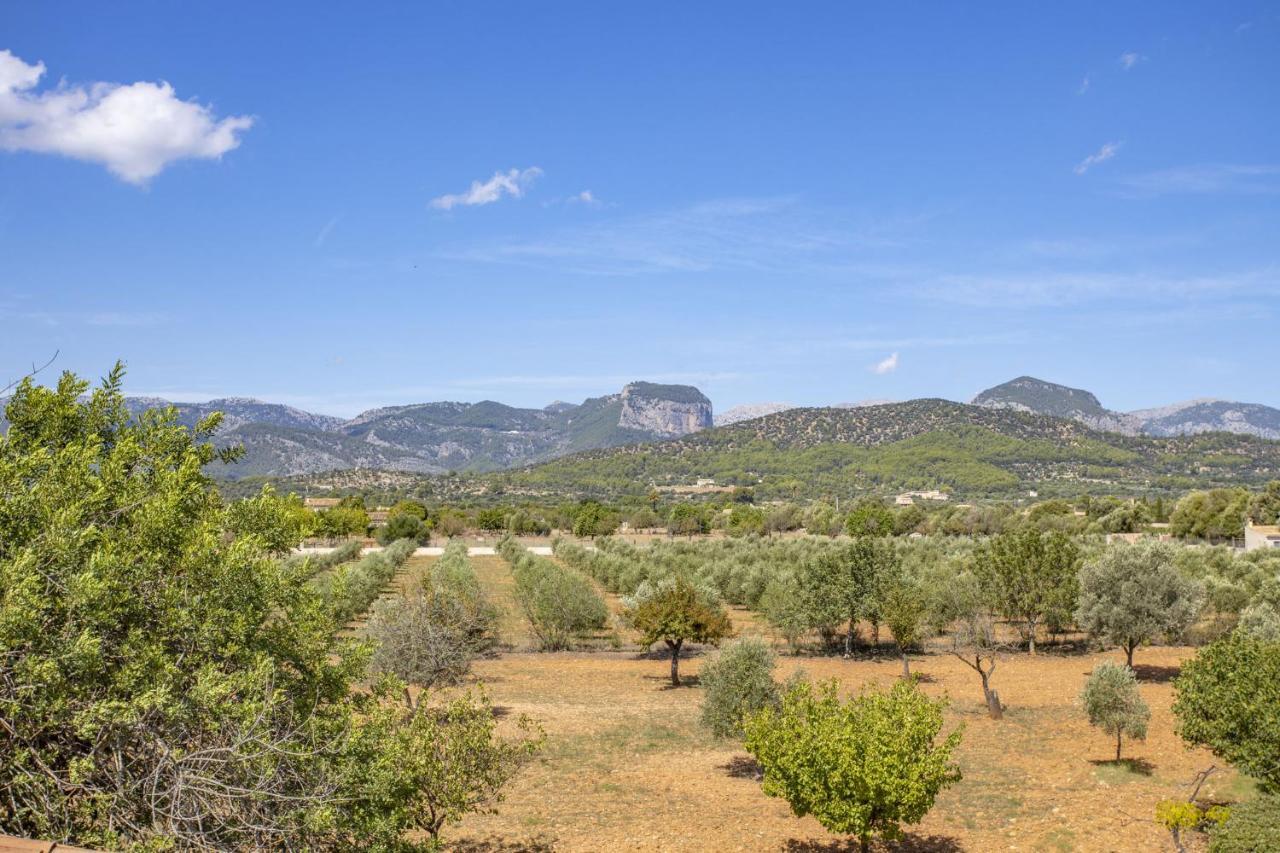 Es Triquet Family Casa rural Binisalem