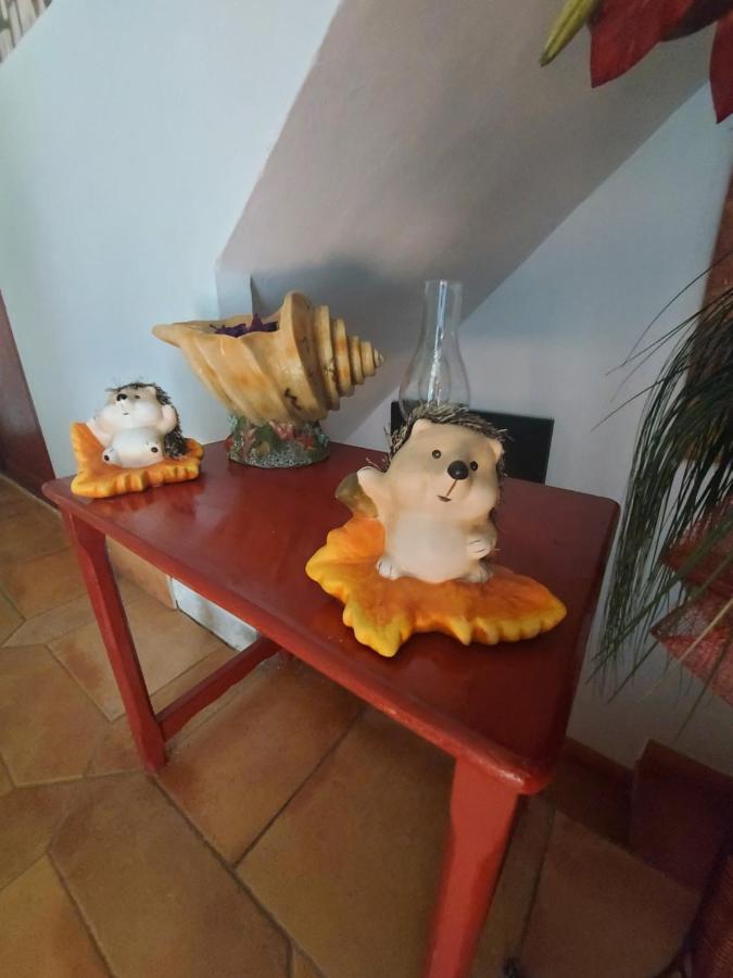 Private Inca Center Homestay Inca (Mallorca)