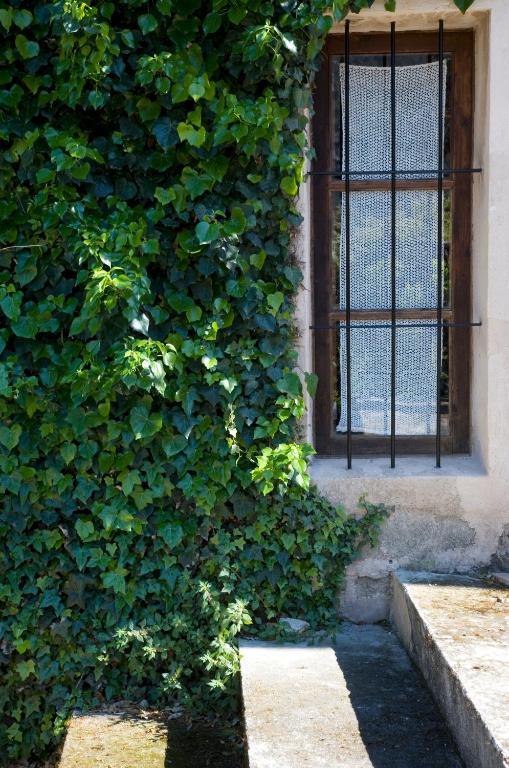 Agroturismo Vall De Pollensa Hotel 3*
