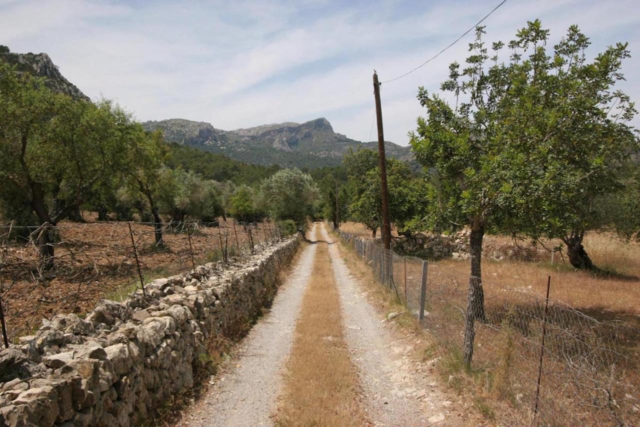 Guillo Pollensa