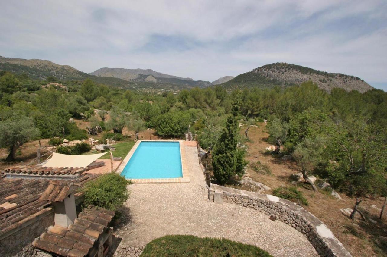 Guillo * Pollensa
