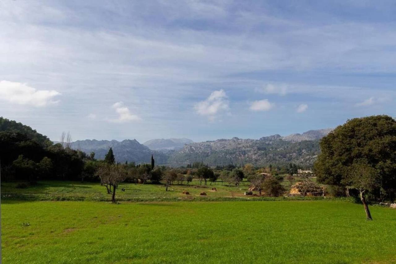 Plana Morro Villa