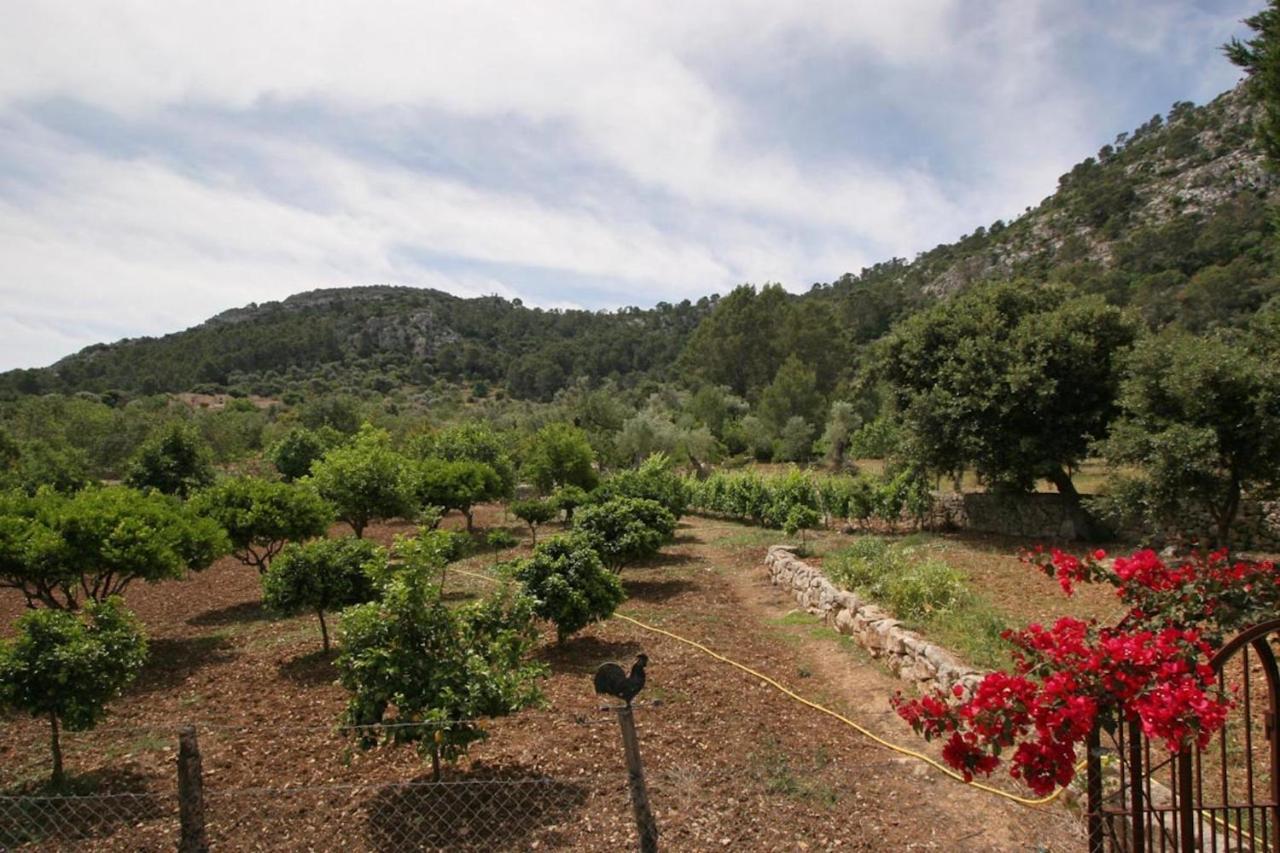 Villa Guillo *