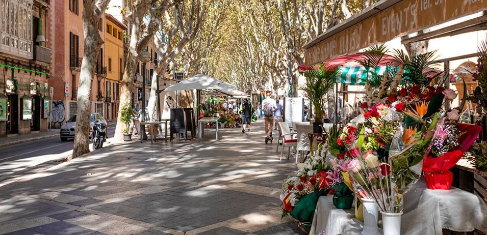 Pensión Rambla Palma Center Palma de Mallorca