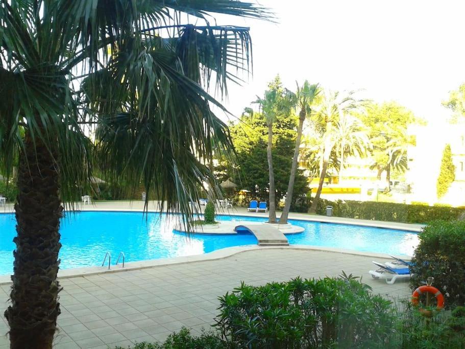 Apartamento Piso Moderno Con Piscina Siesta 2