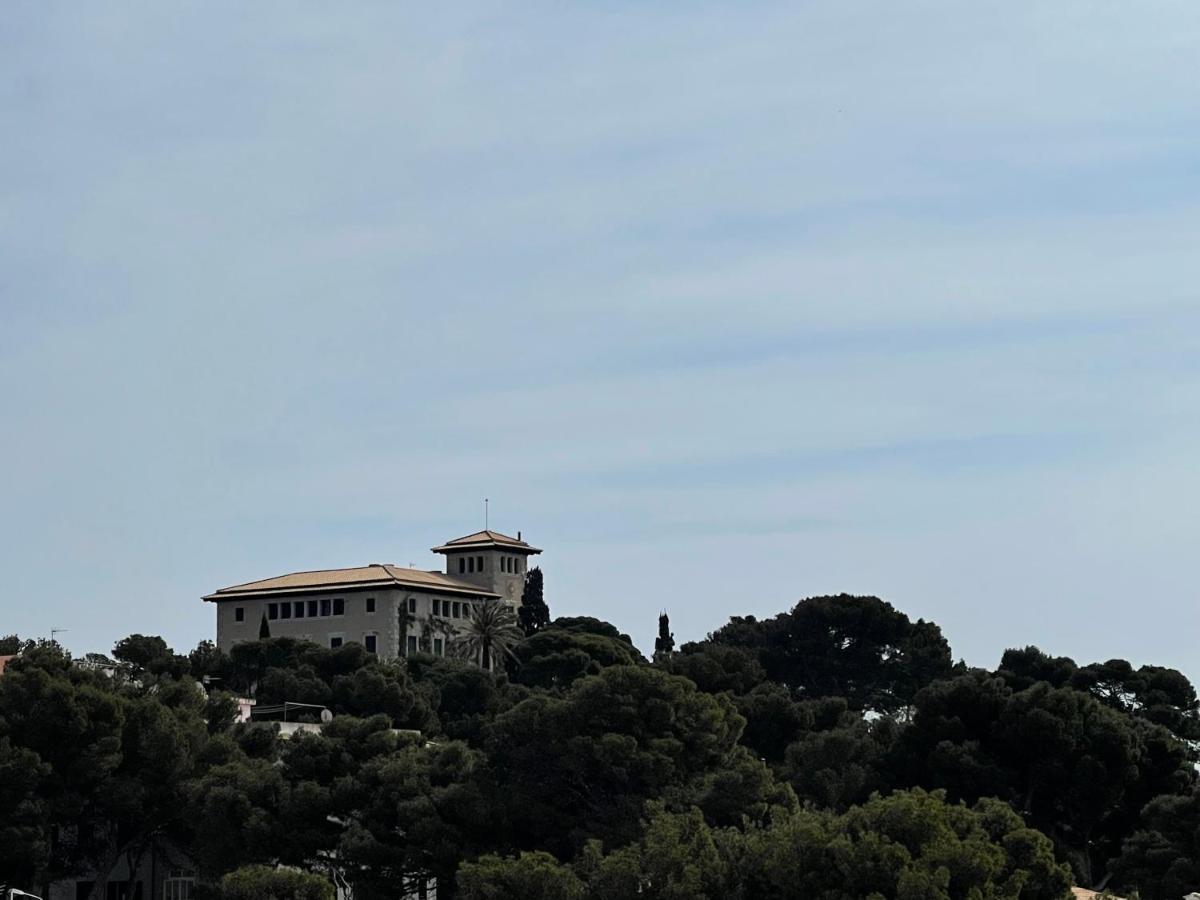 Gallu Cala Ratjada (Mallorca)