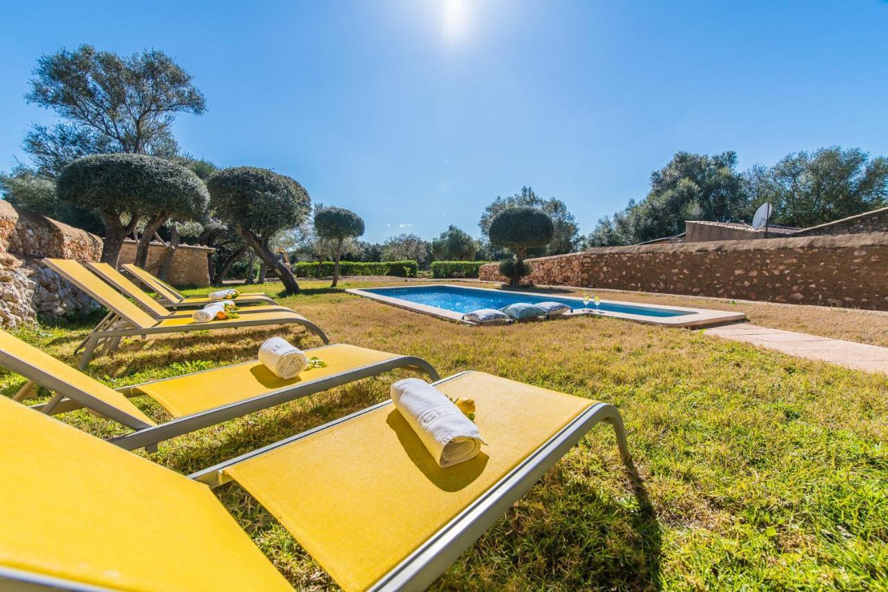 Ideal Mallorca - Gelat * Costitx (Mallorca)