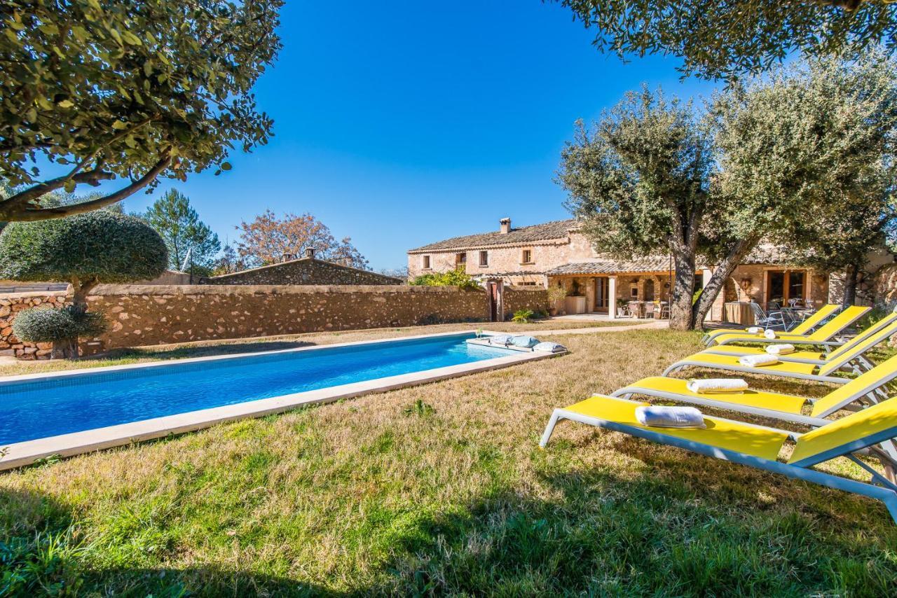 Ideal Mallorca - Gelat * Costitx (Mallorca)