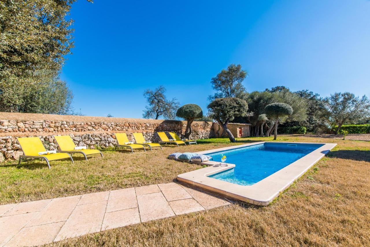 Ideal Mallorca - Gelat * Costitx (Mallorca)