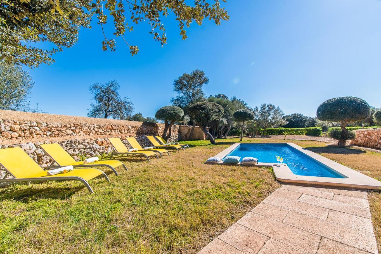 Casa rural Ideal Mallorca - Gelat