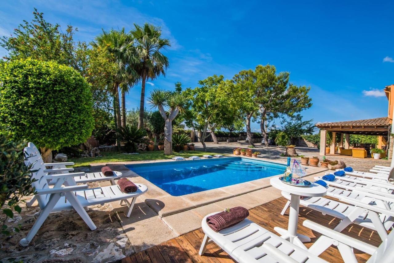 Ideal Property Mallorca - Erika * Inca (Mallorca)