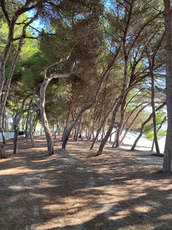 Bellamar 23. Con Piscina Alcudia (Mallorca)