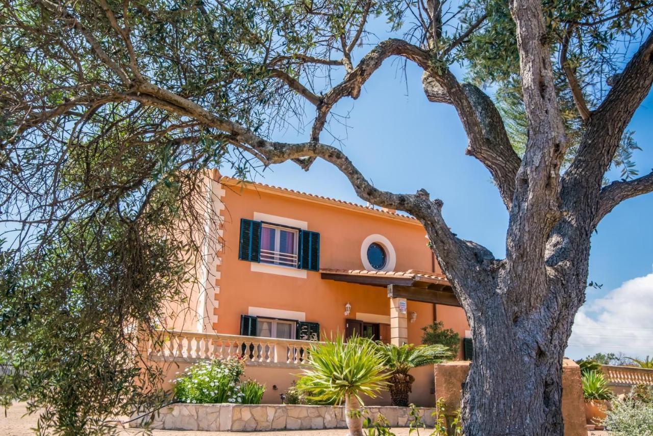 Ideal Mallorca - Bona Vista Country house *