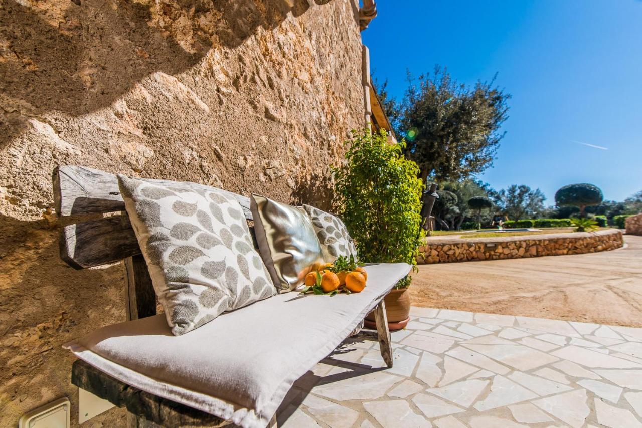 Ideal Mallorca - Gelat * Costitx (Mallorca)