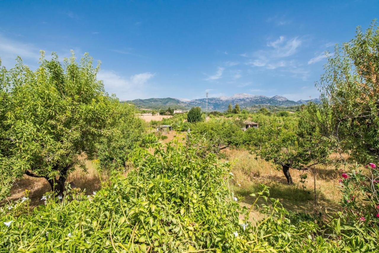 Casa rural Ideal Mallorca - Reure Inca (Mallorca)