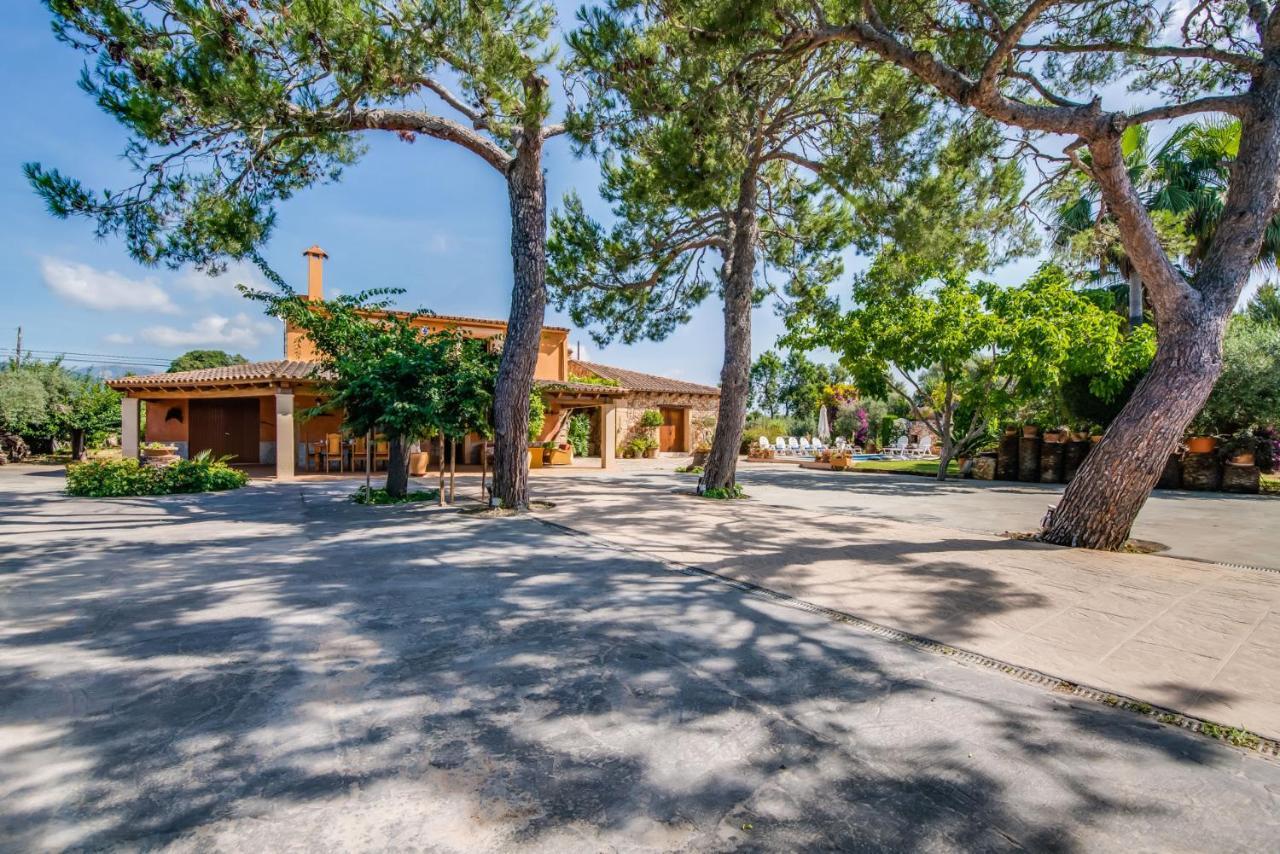 Ideal Property Mallorca - Erika Casa rural
