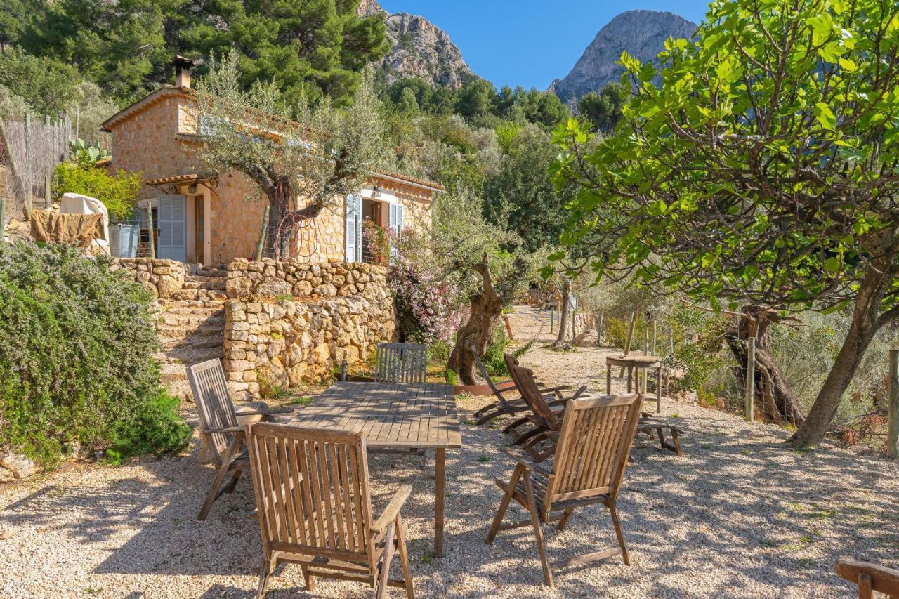 Els Abats Villa *