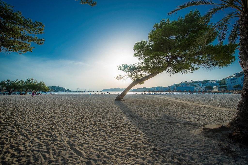 Apartamento Flipflop Surfing Playa Santa Ponsa