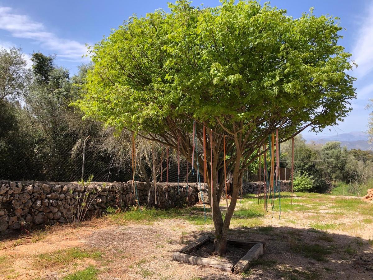 Sa Cabanya Holiday home Llubi