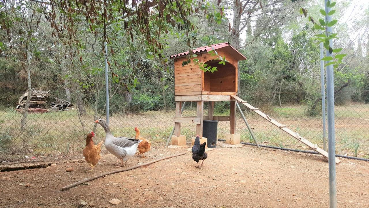 Sa Rota * Bunyola