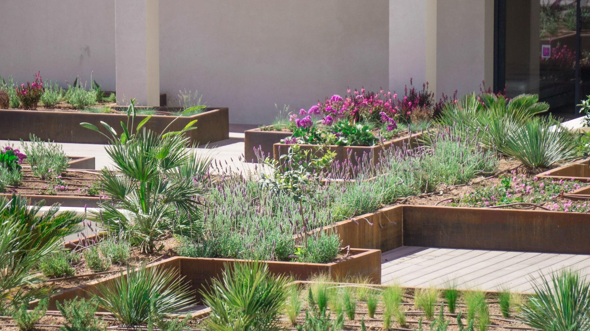 Hotel Paradiso Garden