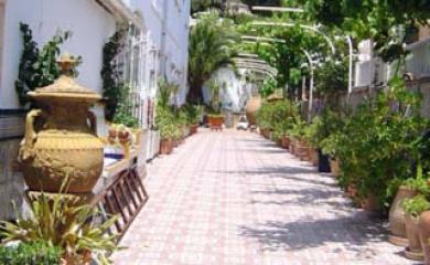 Atalaya Bosque