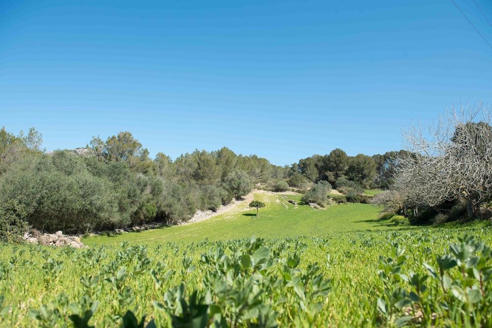 Villa Perola - Adults Only Llucmajor (Mallorca)