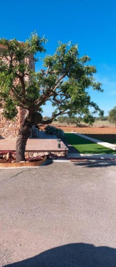 Son Garrot Holiday home *