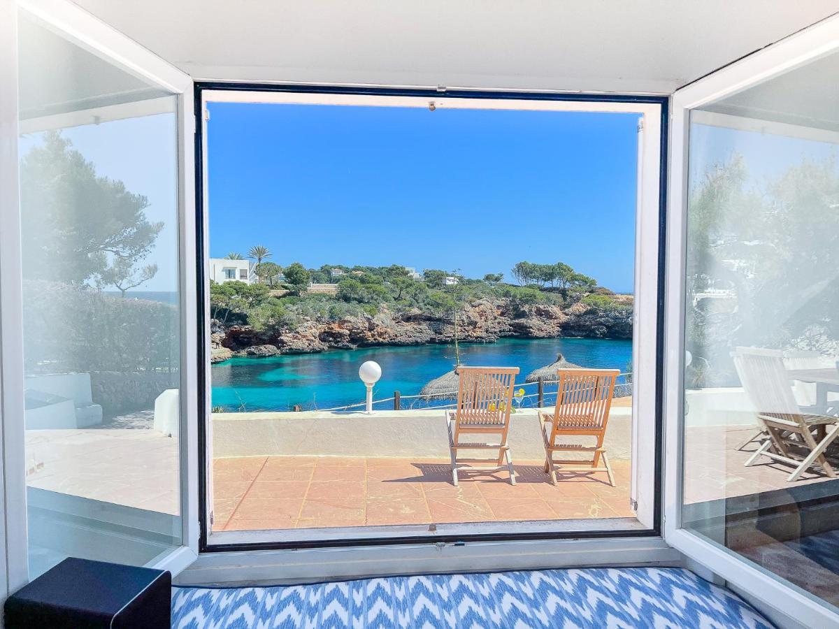 Guacarachas Cala d'Or (Mallorca)