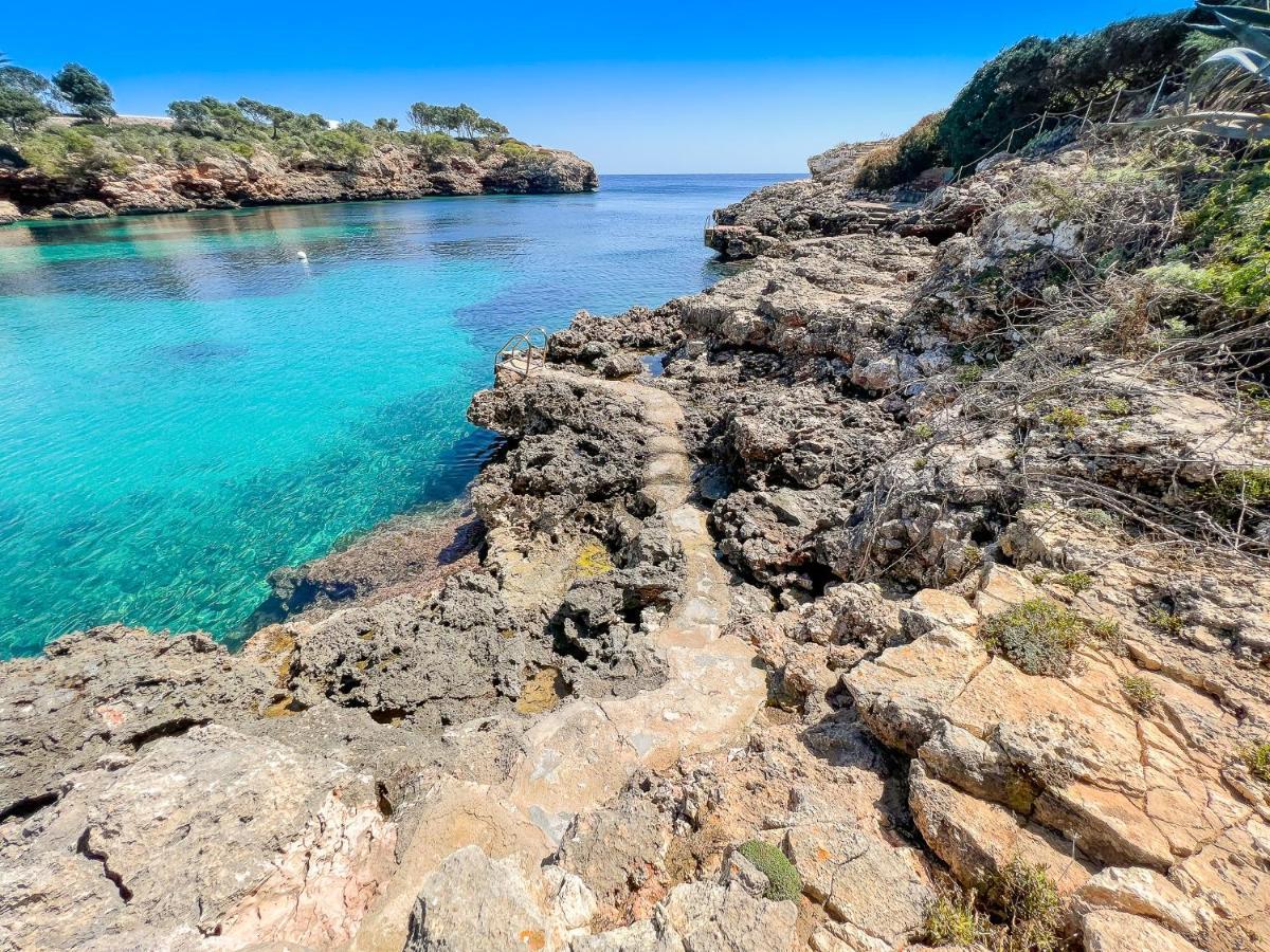 Guacarachas Cala D´Or